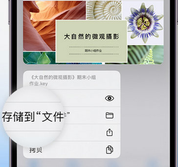 梁园apple维修中心分享iPhone文件应用中存储和找到下载文件