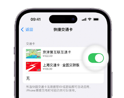 梁园apple维修点分享iPhone上更换Apple Pay快捷交通卡手绘卡面 