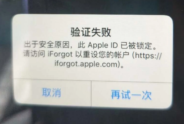 梁园iPhone维修分享iPhone上正常登录或使用AppleID怎么办 