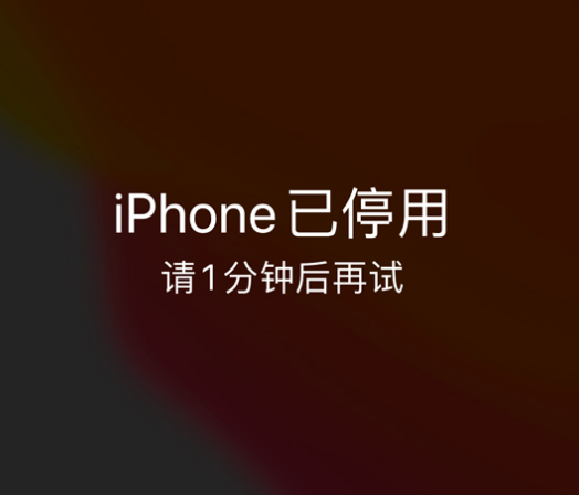 梁园苹果手机维修分享:iPhone 显示“不可用”或“已停用”怎么办？还能保留数据吗？ 