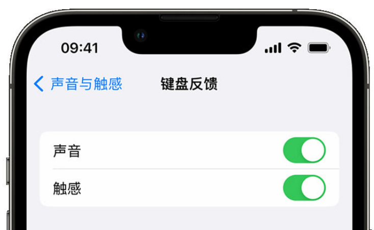 梁园苹果手机维修分享iPhone 14触感键盘使用方法 