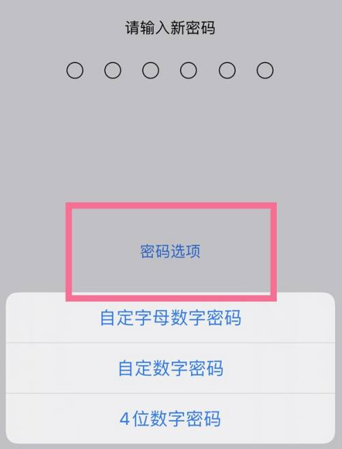 梁园苹果14维修分享iPhone 14plus设置密码的方法 