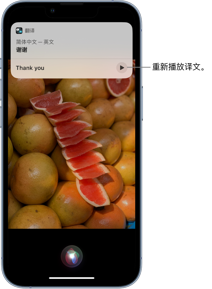 梁园苹果14维修分享 iPhone 14 机型中使用 Siri：了解 Siri 能帮你做什么 