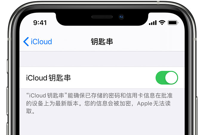 梁园苹果手机维修分享在 iPhone 上开启 iCloud 钥匙串之后会储存哪些信息 